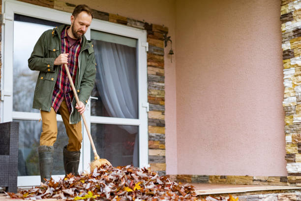 Yard Cleanup Services in Arcata, CA